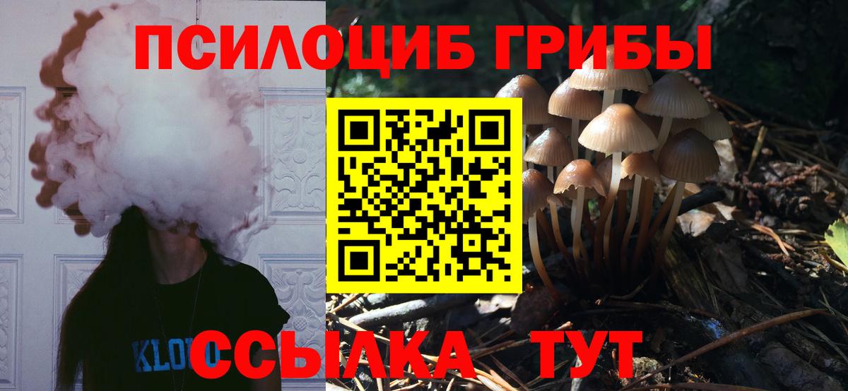 Галлюциногенные грибы мицелий  Вход с VPN  Добрянка 
