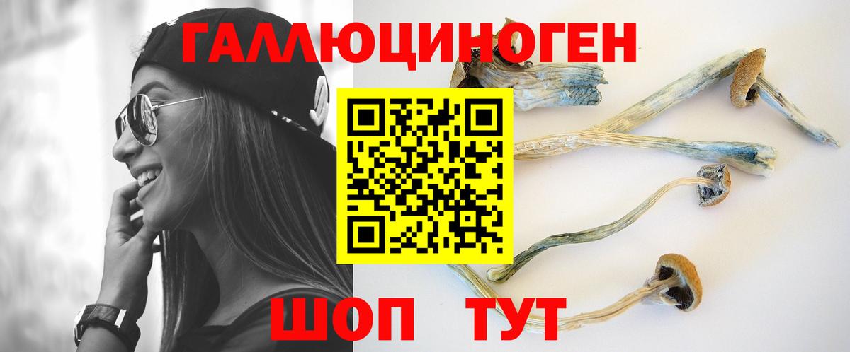 Псилоцибиновые грибы MAGIC MUSHROOMS Добрянка